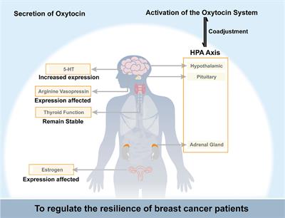 The role of the oxytocin system in the resilience of patients with breast cancer